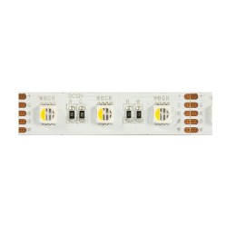 Synergy 21 LED Flex Strip 5050 - 60 RGB DC24V + RGB-W one chip nw IP68 — Buy in Cyprus with Fast Delivery