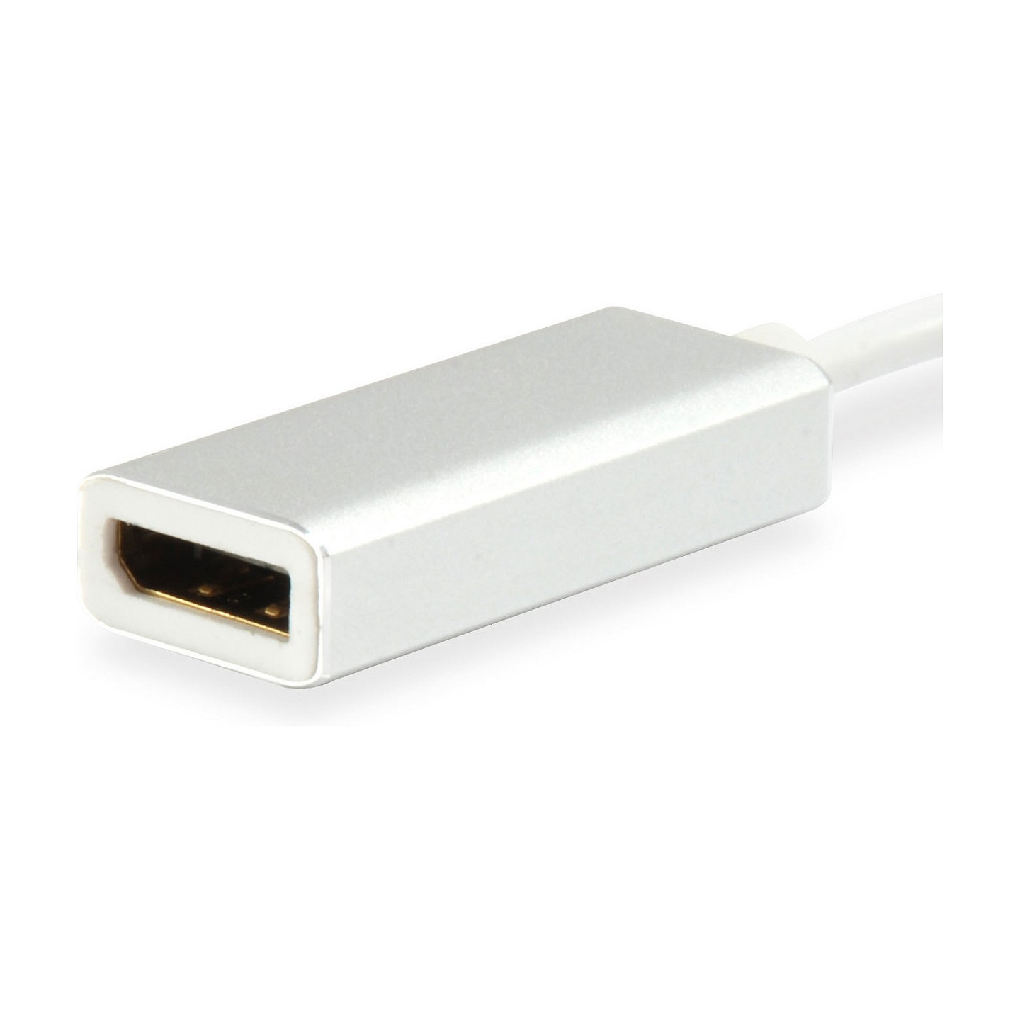 Equip Adapter USB-C - to DisplayPort 4K60Hz 0.15m si — Buy in Cyprus with Fast Delivery