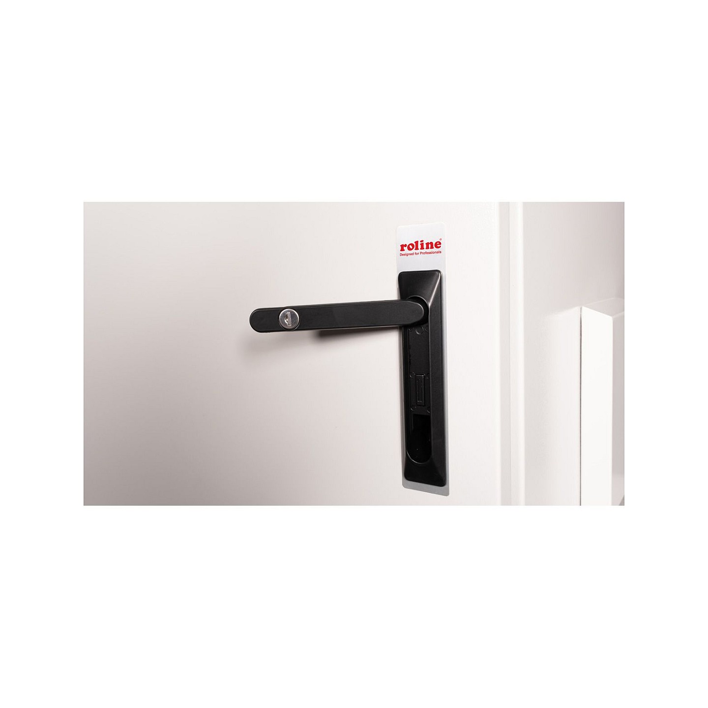 ROLINE 19-Zoll Wandgehuse Pro 9 HE. 600x600 BxT IP55 outdoor grau — Buy in Cyprus with Fast Delivery