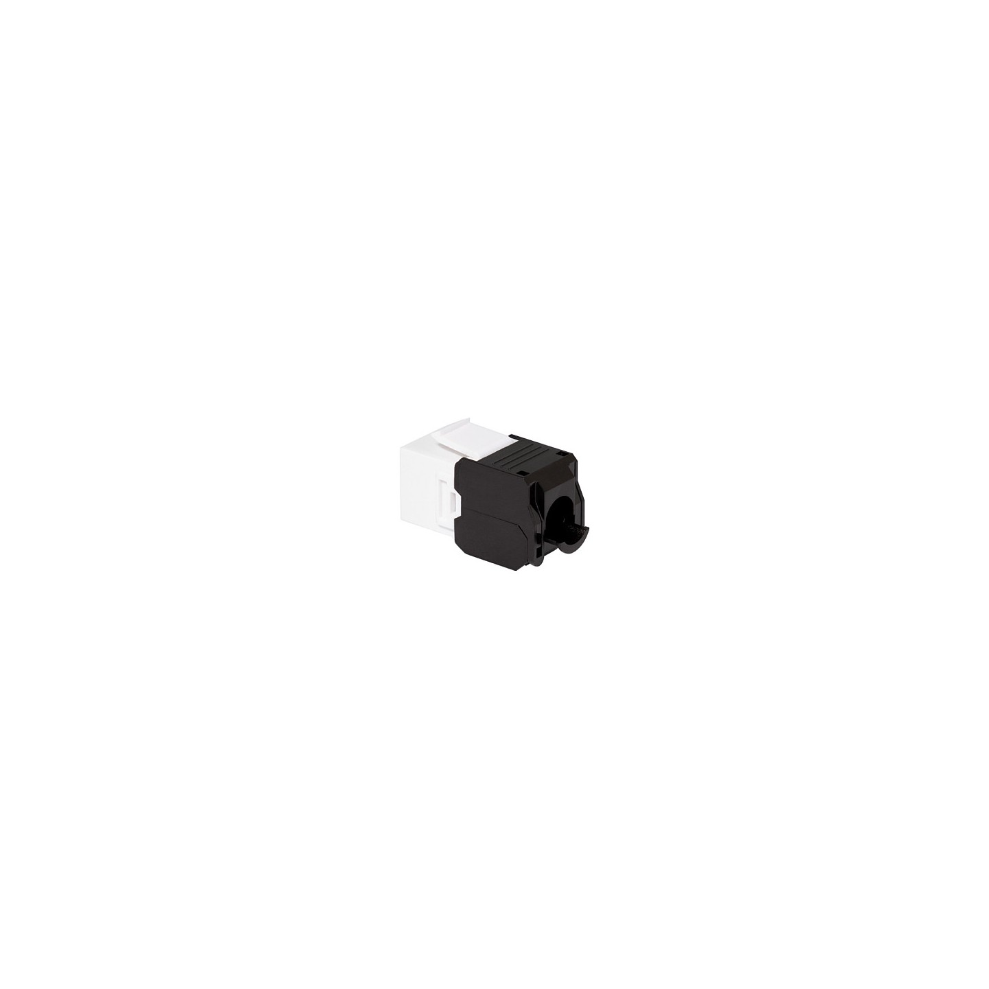 LogiLink Keystone CAT6a RJ45 Buchse UTP AWG 22-26 180° Werkzeuglos — Buy in Cyprus with Fast Delivery