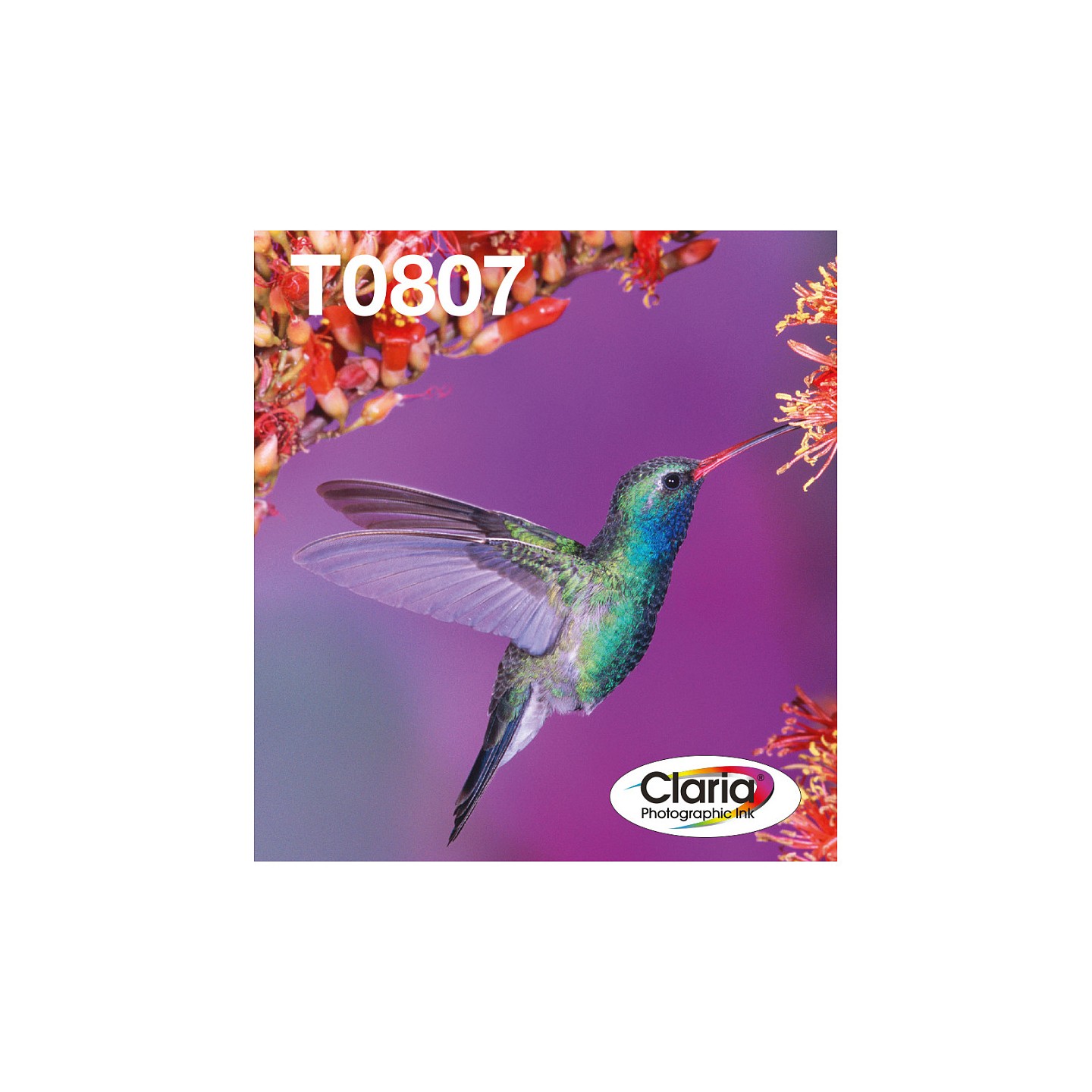 Epson Original Easy Mail Packing T0807 Kolibri Druckerpatronen 6er Multipack BK C M Y LC LM (C13T08074510)