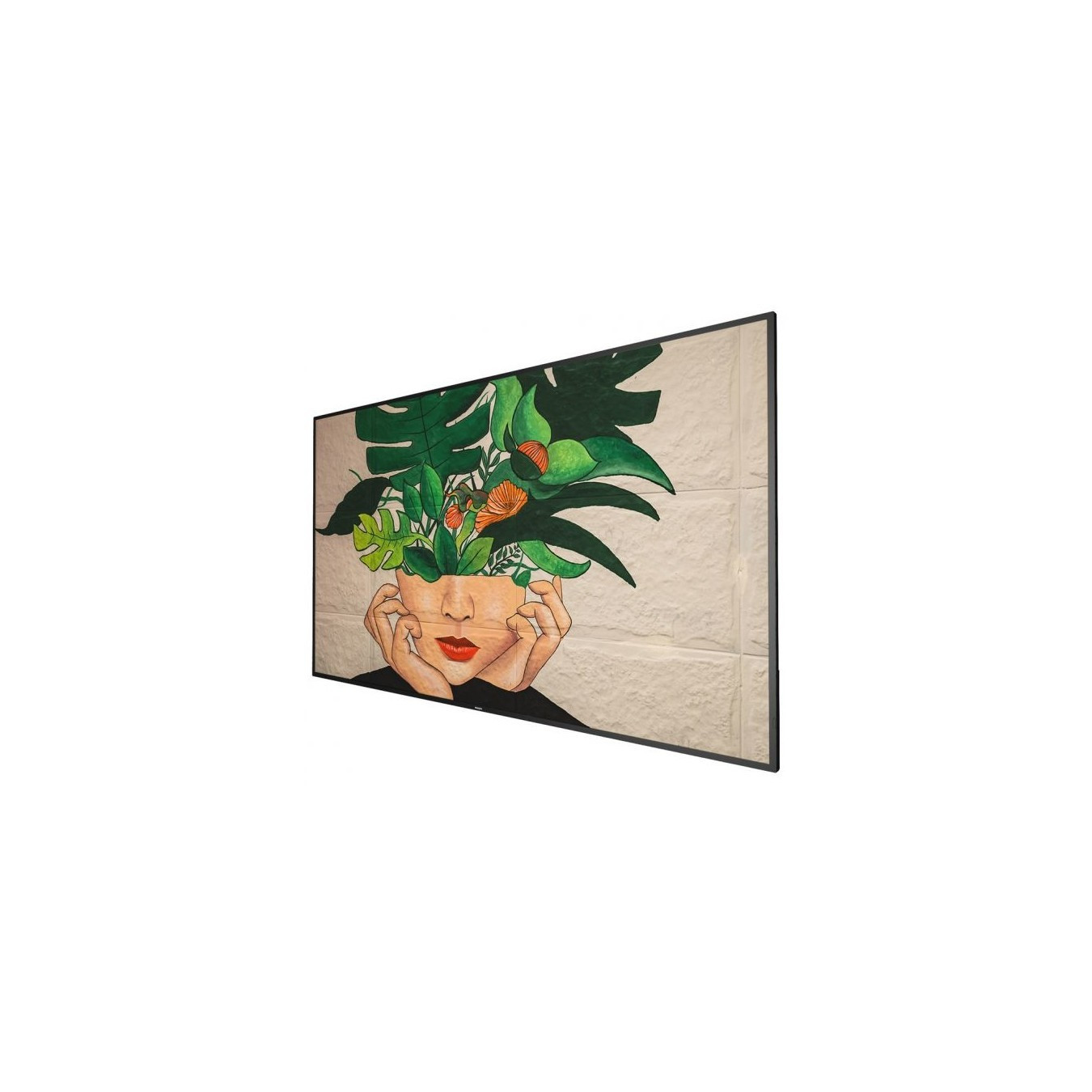 PHILIPS D-Line 65BDL4511D 24 7 UHD 500cd (Speditionsversand) — Buy in Cyprus with Fast Delivery