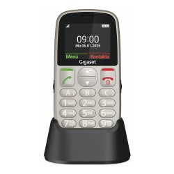Gigaset GL395 Dual Sim Silver — Buy in Cyprus with Fast Delivery