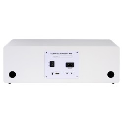 TERRATEC Aktivbox CONCERT BT 1 wireless weiß — Buy in Cyprus with Fast Delivery