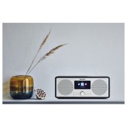 Panasonic RF-D40EG-K schwarz — Buy in Cyprus with Fast Delivery