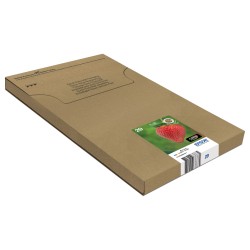 Epson Original Easy Mail Packing 29 Erdbeere Druckerpatronen - 4er Multipack (C13T29864511) — Buy in Cyprus with Fast Delivery