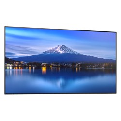 Sharp MultiSync P656 Digital Signage Display 165 cm 65 Zoll — Buy in Cyprus with Fast Delivery