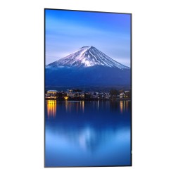 Sharp MultiSync P656 Digital Signage Display 165 cm 65 Zoll — Buy in Cyprus with Fast Delivery