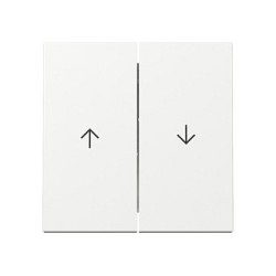 GIRA 329403 Wippe 2f Pfeil System 55 Reinweiß — Buy in Cyprus with Fast Delivery