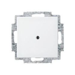BUSCH JAEGER BJ 2538-914 Blindzentralscheibe alpinws Busch balance SI Abd.Datenkommunikation