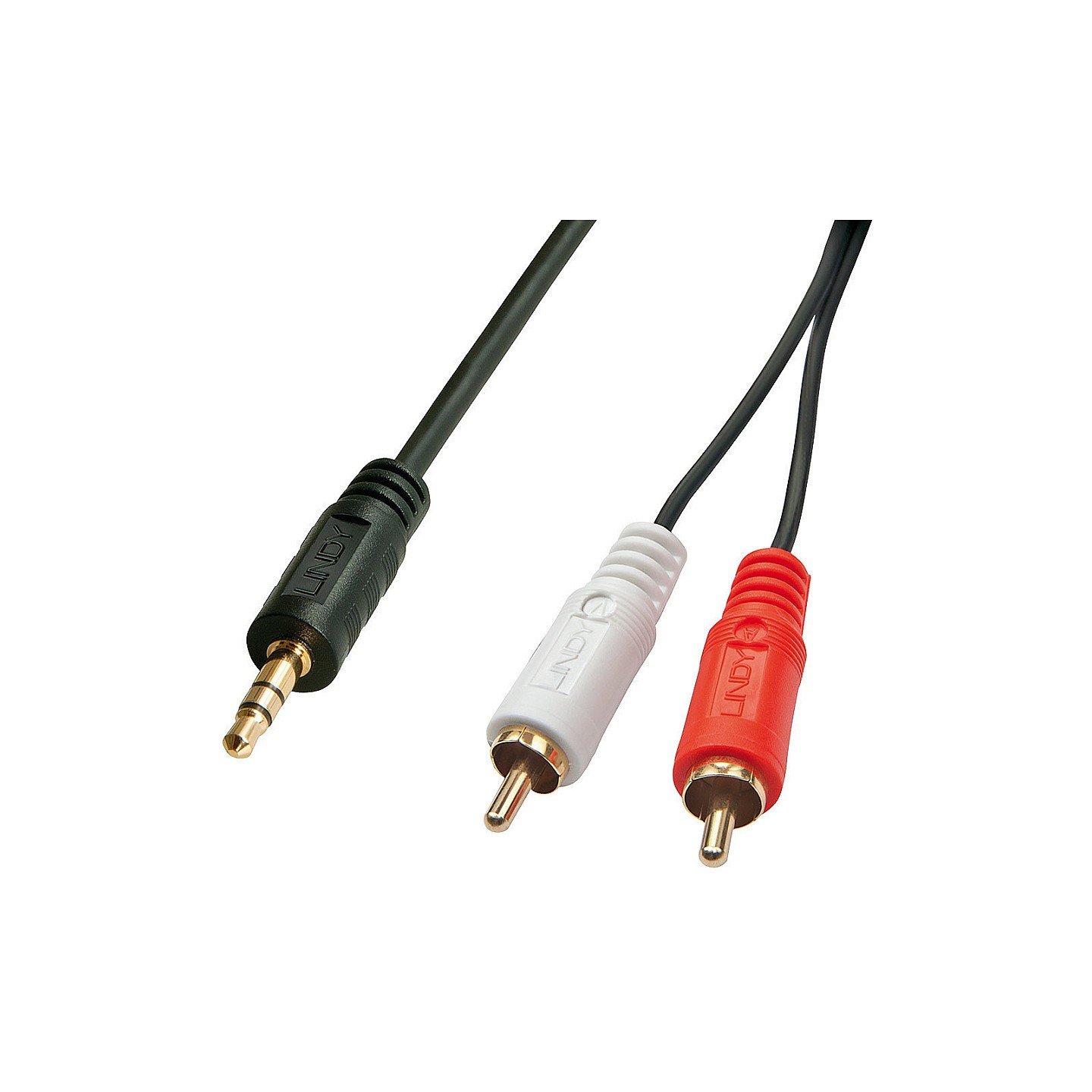 LINDY Audiokabel RCA 3.5mm 1m 2xRCA 3.5mm m m vergoldet — Buy in Cyprus with Fast Delivery