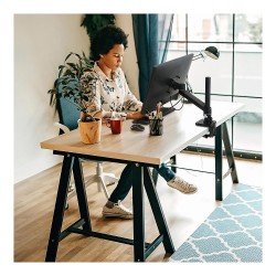 Ergotron NX Monitor Arm (schwarz (matt)) — Buy in Cyprus with Fast Delivery