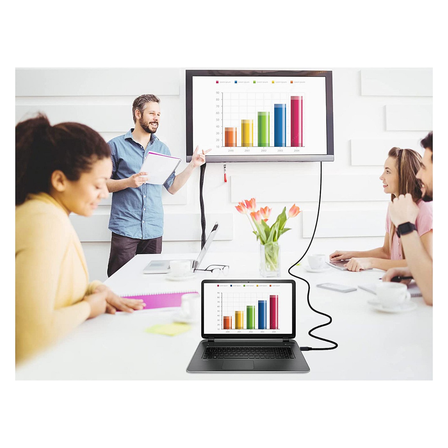 Equip DisplayPort 2.1 16K 60Hz St St 5.00m schwarz — Buy in Cyprus with Fast Delivery