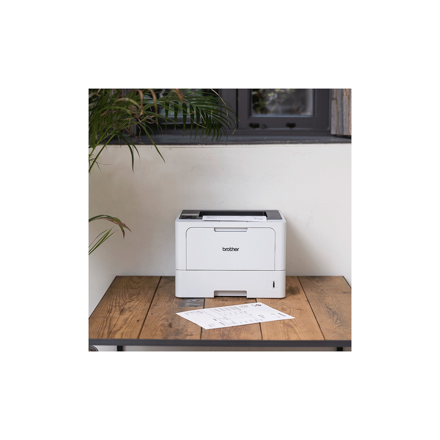 L Brother HL-L5215DN - Drucker - s w - Duplex — Buy in Cyprus with Fast Delivery