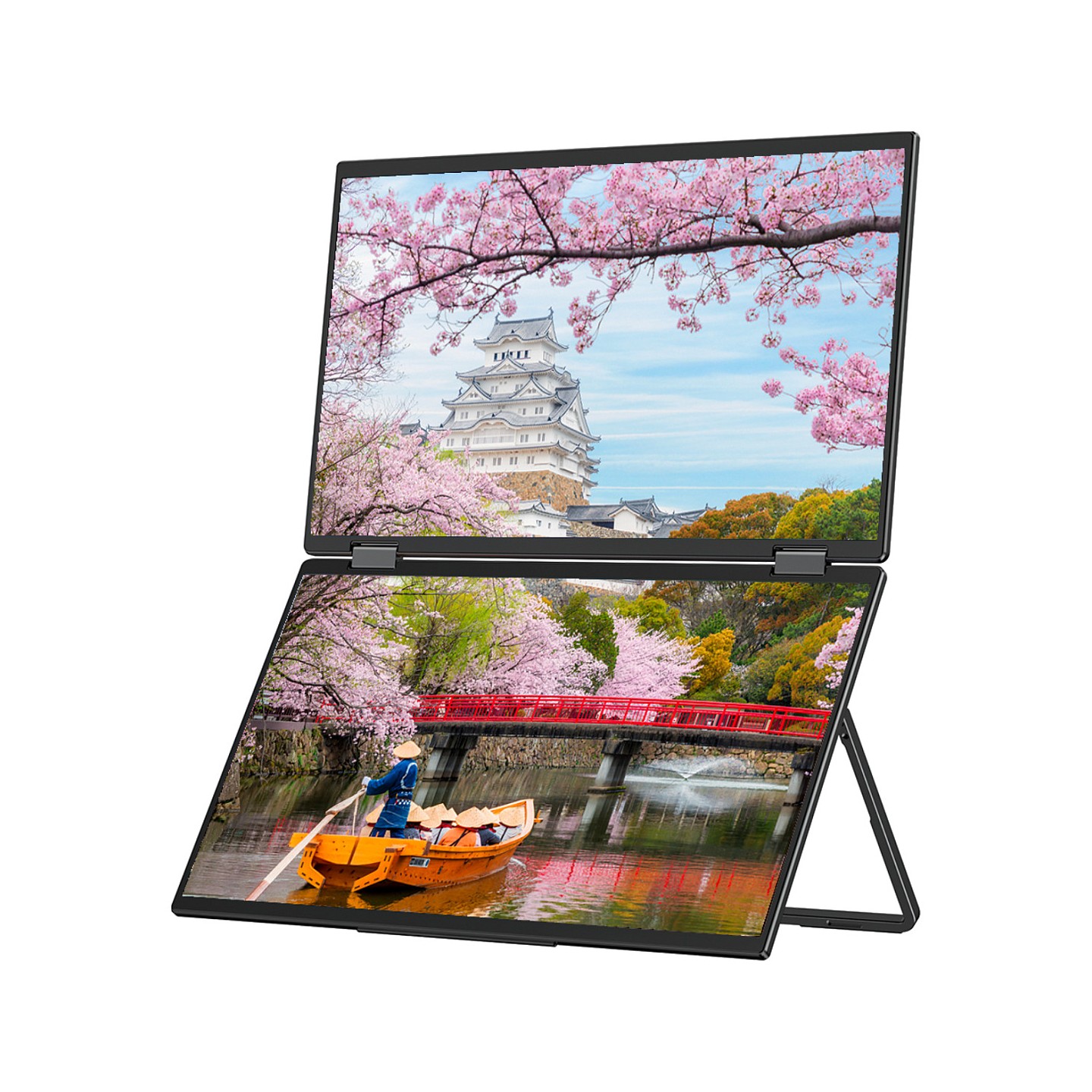 JapanNext FHD Doppelmonitor 39.62cm (15.6') — Buy in Cyprus with Fast Delivery