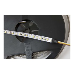 Synergy 21 LED Flex Strip 3528 - 120 DW (CCT) DC24V 36W pro Farbe IP20 — Buy in Cyprus with Fast Delivery