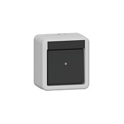 GIRA 310630 Wippschalter AusWe WG AP Grau — Buy in Cyprus with Fast Delivery