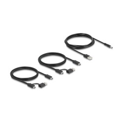 DELOCK USB 5 Gbps Switch 4 x Gert und 2 x Host — Buy in Cyprus with Fast Delivery
