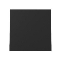 GIRA 3296005 Wippe System 55 Schwarz m — Buy in Cyprus with Fast Delivery