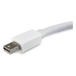 Equip Mini DisplayPort- to DisplayPort Adapter St Bu 4K 60Hz ws — Buy in Cyprus with Fast Delivery