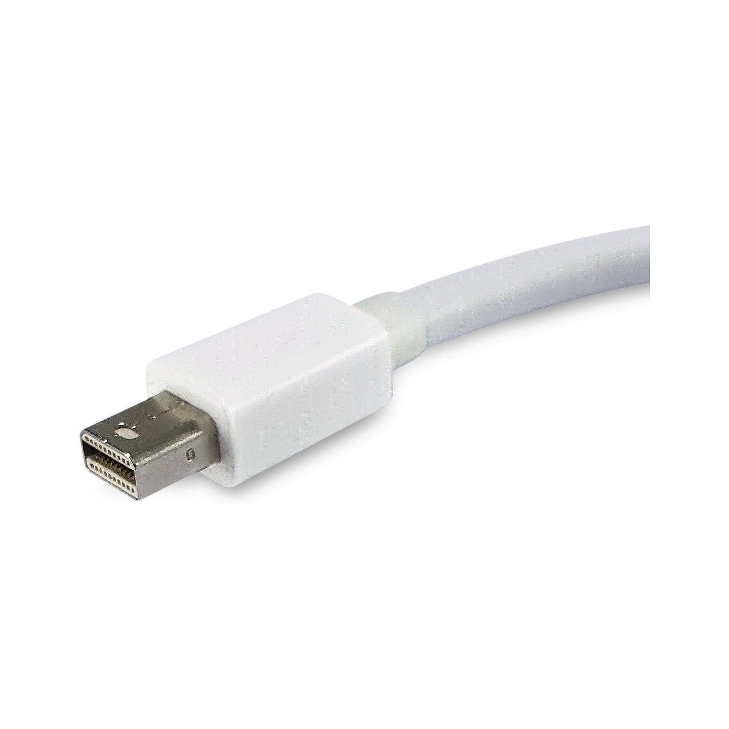 Equip Mini DisplayPort- to DisplayPort Adapter St Bu 4K 60Hz ws — Buy in Cyprus with Fast Delivery