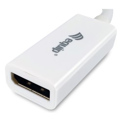 Equip Mini DisplayPort- to DisplayPort Adapter St Bu 4K 60Hz ws — Buy in Cyprus with Fast Delivery