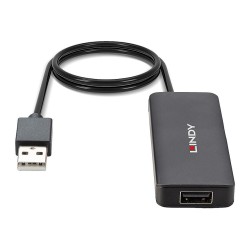 LINDY USB 2.0 Hub 4 Port ohne Netzteil — Buy in Cyprus with Fast Delivery