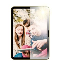 PanzerGlass AntiReflective Armor Screen Protector iPad 11 10.9 — Buy in Cyprus with Fast Delivery