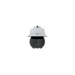 AXIS Q6315-LE 50 HZ — Buy in Cyprus with Fast Delivery