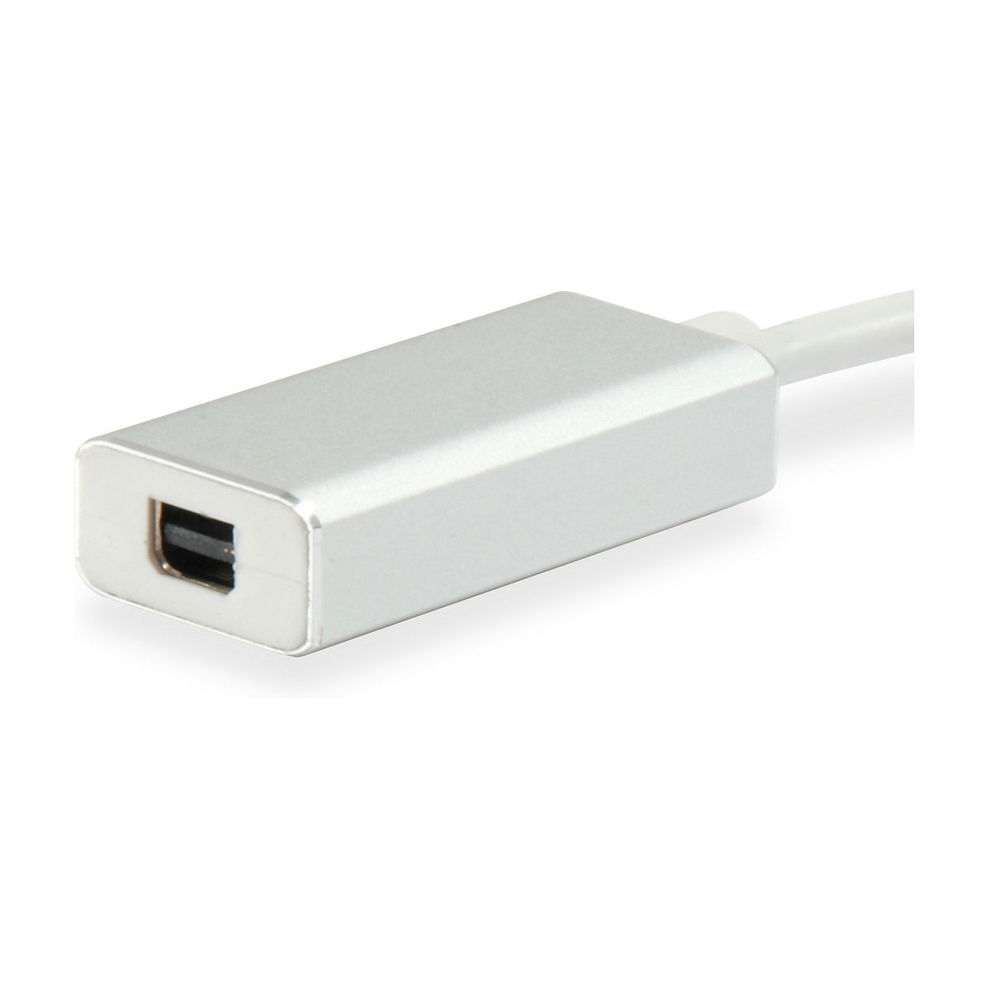 Equip Adapter USB-C - to MiniDisplayPort 4K60Hz 0.15m si — Buy in Cyprus with Fast Delivery