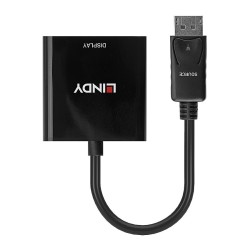 LINDY DisplayPort an DVI-D Adapter 0.17m — Buy in Cyprus with Fast Delivery