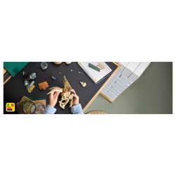 LEGO 76969 Jurassic World Dinosaurier-Fossilien: Triceratops — Buy in Cyprus with Fast Delivery