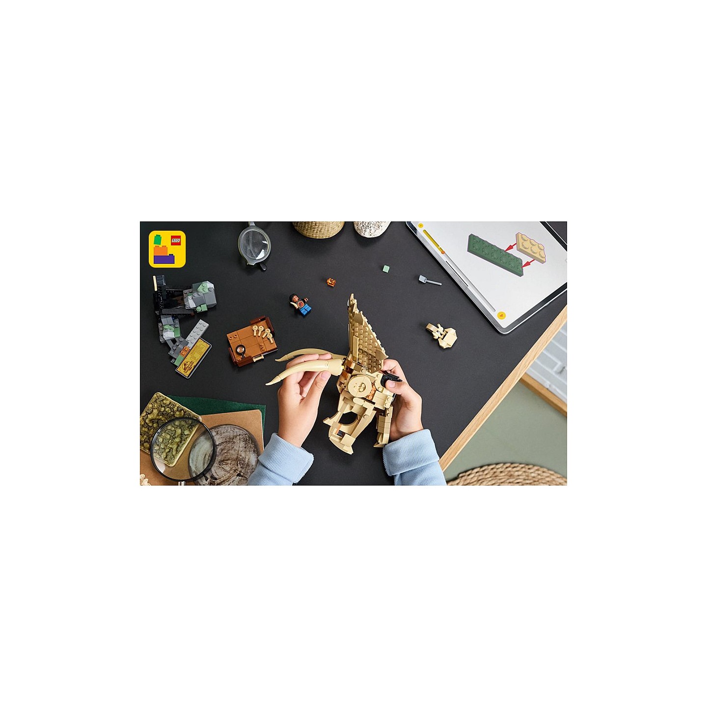 LEGO 76969 Jurassic World Dinosaurier-Fossilien: Triceratops — Buy in Cyprus with Fast Delivery