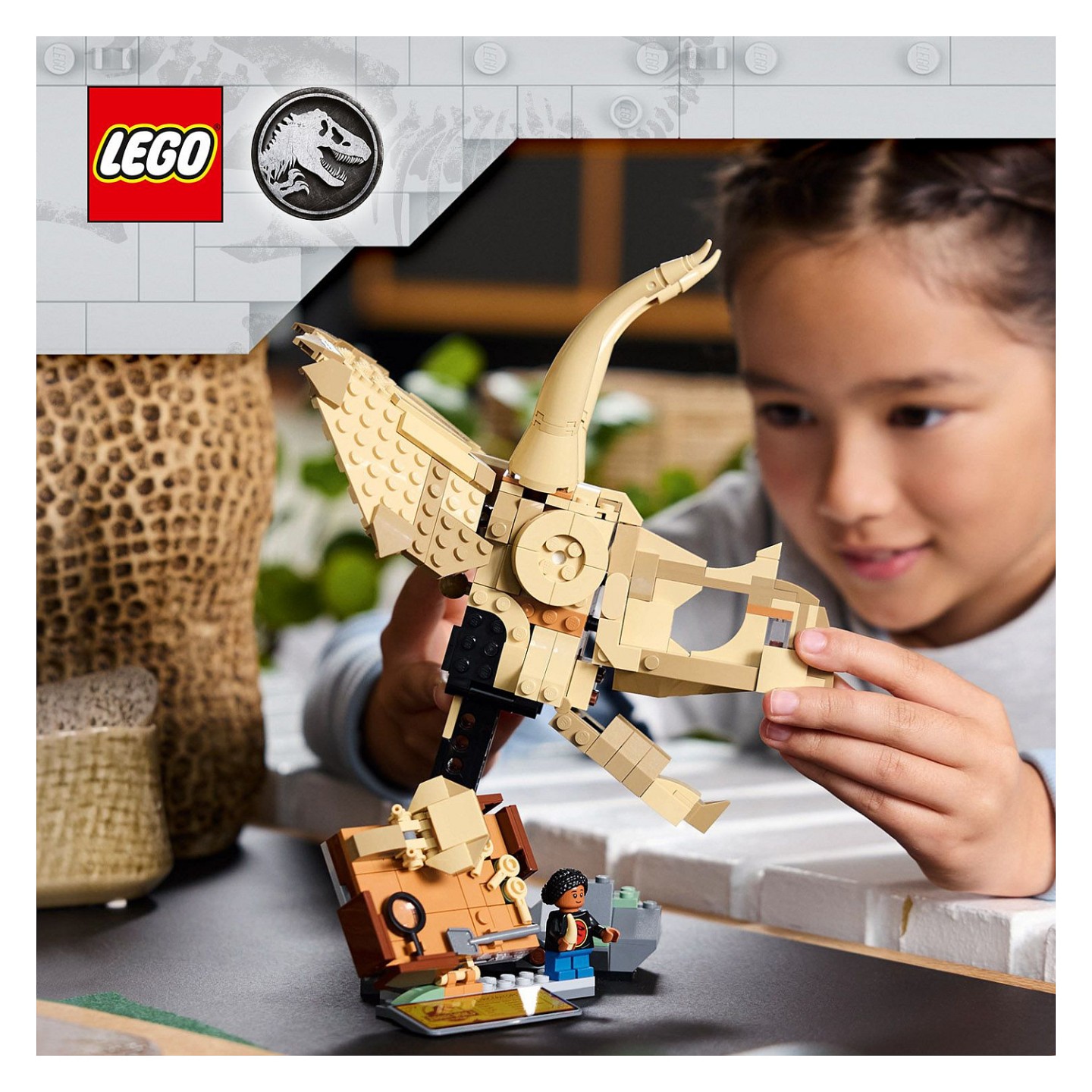 LEGO 76969 Jurassic World Dinosaurier-Fossilien: Triceratops — Buy in Cyprus with Fast Delivery