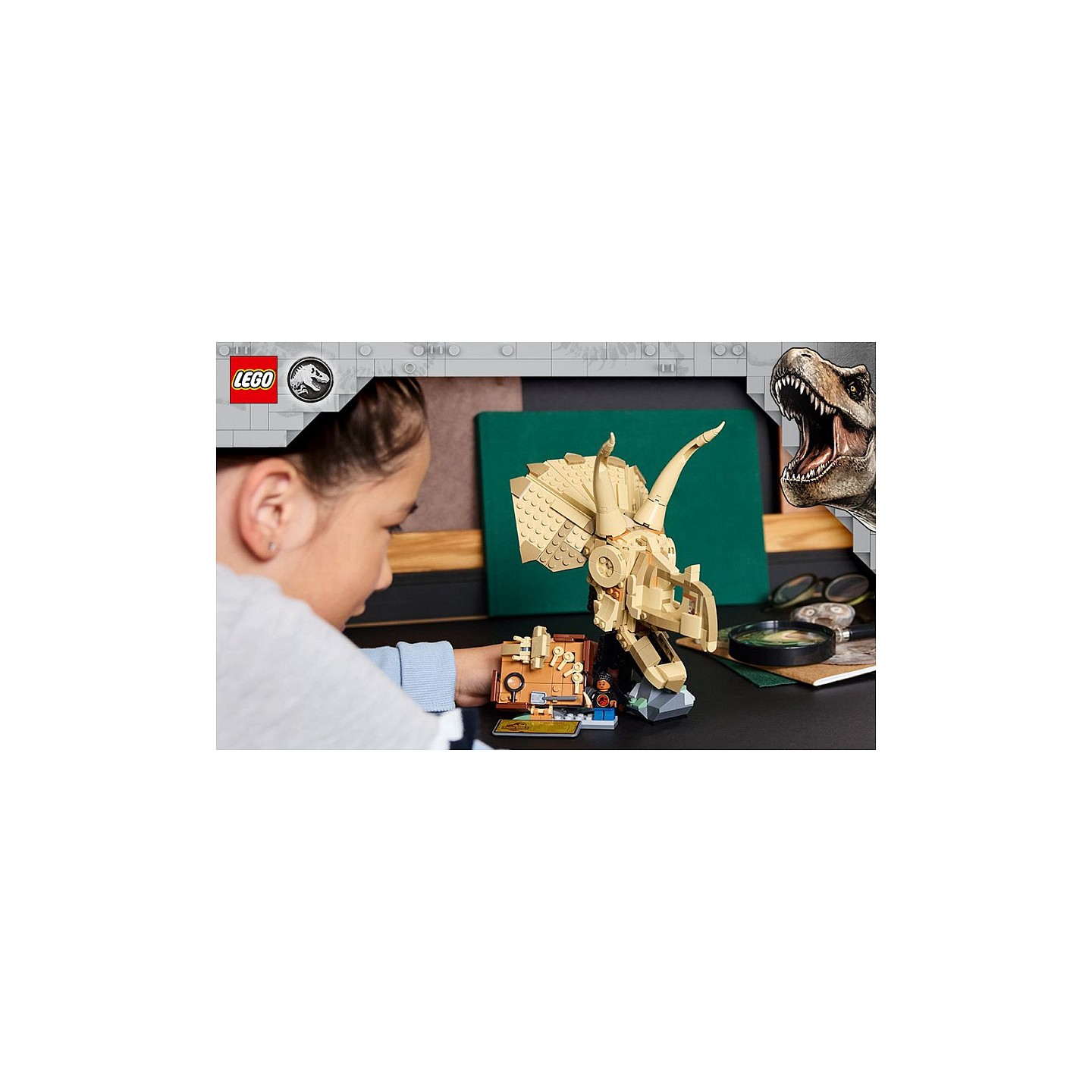 LEGO 76969 Jurassic World Dinosaurier-Fossilien: Triceratops — Buy in Cyprus with Fast Delivery