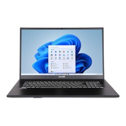 TERRA MOBILE 1716R i5-1334U W11 — Buy in Cyprus with Fast Delivery