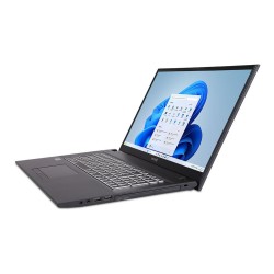 TERRA MOBILE 1716R i5-1334U W11 — Buy in Cyprus with Fast Delivery