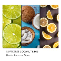 CANDLE Duftkerze Haribo Coconut Lime - 300g — Buy in Cyprus with Fast Delivery