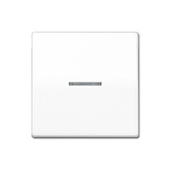 Jung AS 591 KO5 WW Wippe für Kontrollschalter — Buy in Cyprus with Fast Delivery