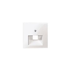 MERTEN 296225 aws Zentralplatte 1-f f UAE-Einsatz glänzend — Buy in Cyprus with Fast Delivery