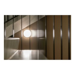 Steinel INNENLEUCHTE RS PRO R20 BASIC SC WW Designleuchten — Buy in Cyprus with Fast Delivery