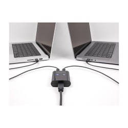 DELOCK USB 2.0 Switch für 2 PC an 1 Gerät — Buy in Cyprus with Fast Delivery