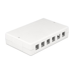 Keystone Leergehäuse 12 Port — Buy in Cyprus with Fast Delivery