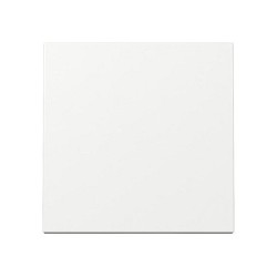 GIRA 329603 Wippe System 55 Reinweiß — Buy in Cyprus with Fast Delivery