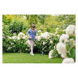 Bosch EasyGrassCut 18V-26 solo Akku-Rasentrimmer — Buy in Cyprus with Fast Delivery