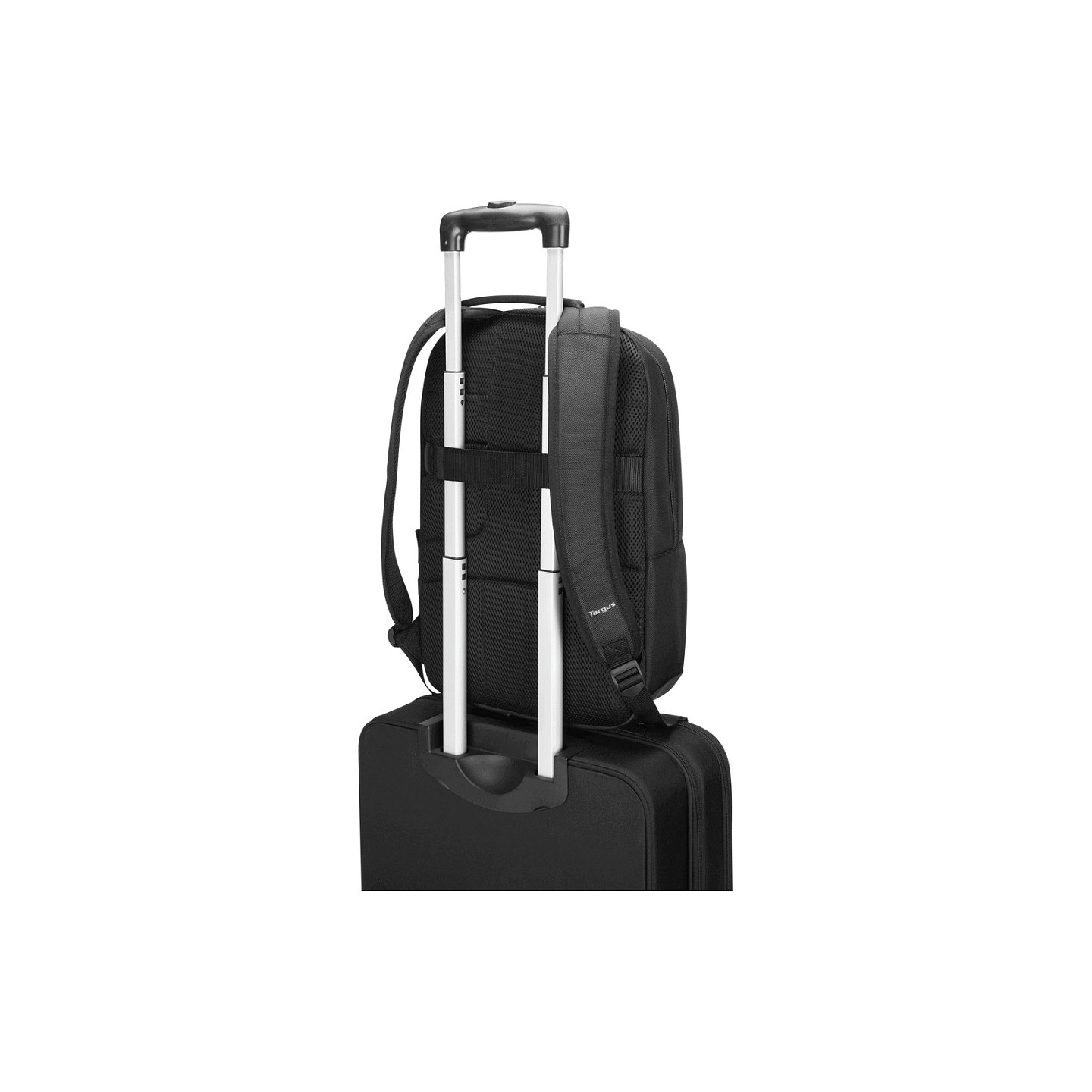 TARGUS CitySmart Essentials - Notebook-Rucksack - 40.6 cm - 12' - 16' - Grau Schwarz — Buy in Cyprus with Fast Delivery