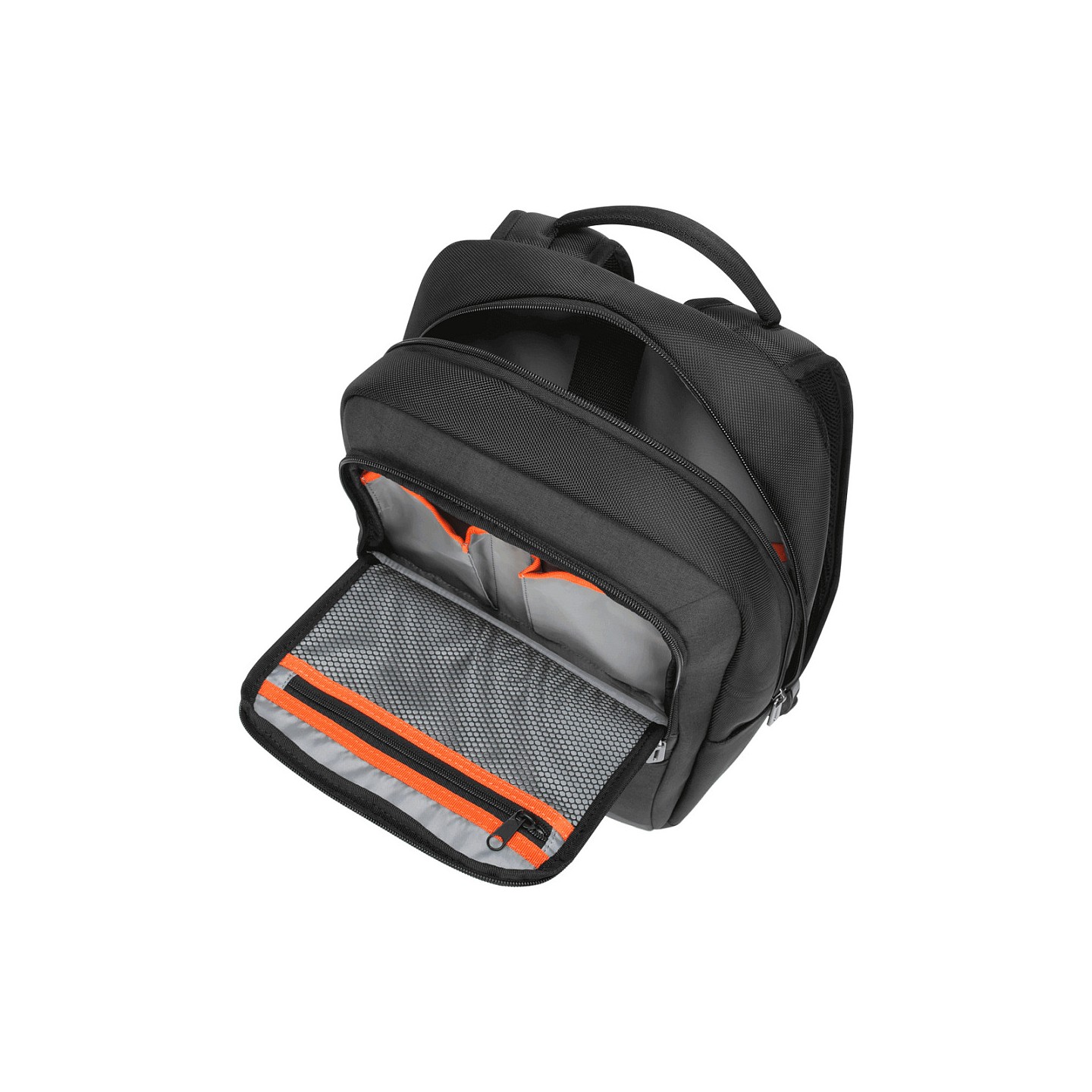 TARGUS CitySmart Essentials - Notebook-Rucksack - 40.6 cm - 12' - 16' - Grau Schwarz — Buy in Cyprus with Fast Delivery