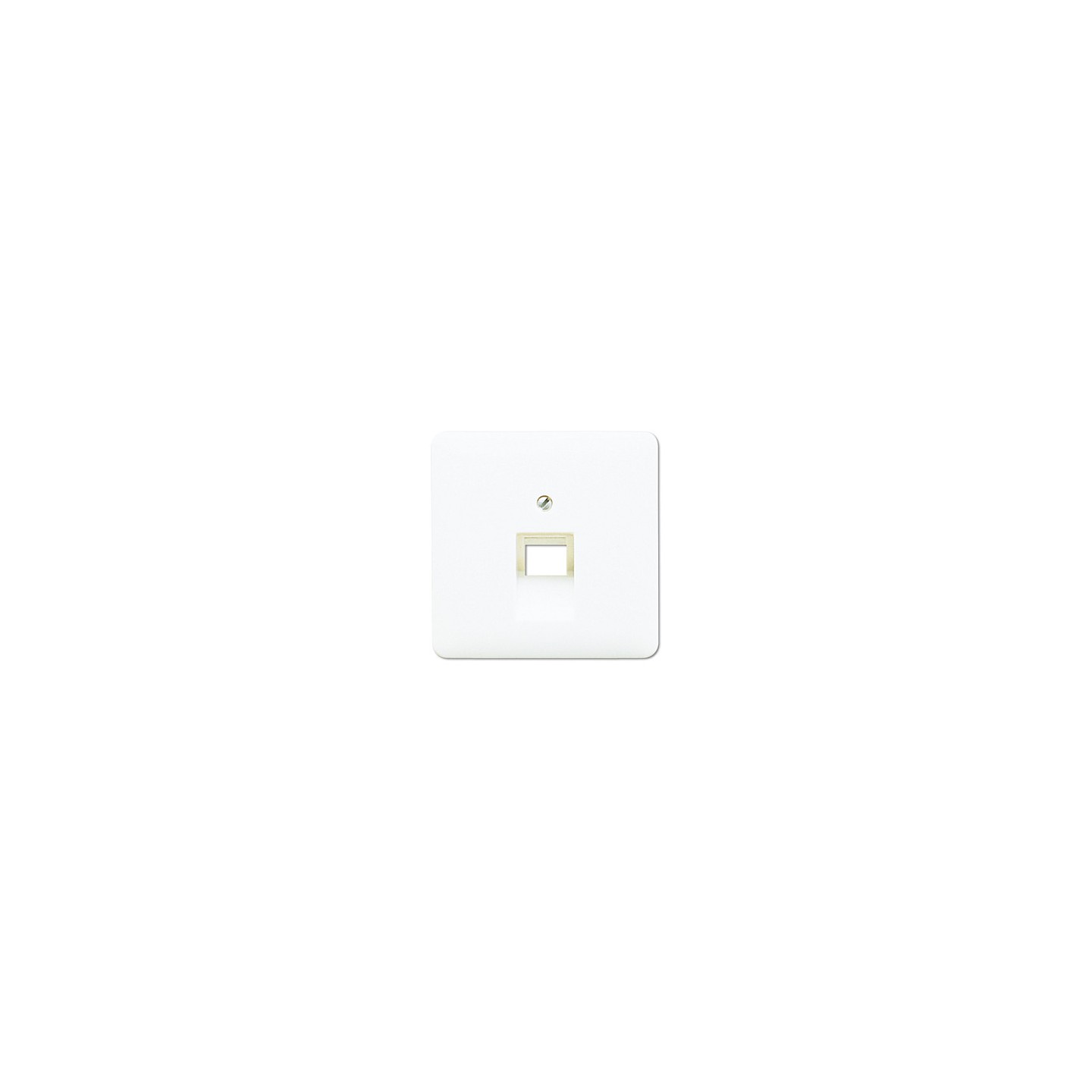 Jung CD 569-1 UA WW Abdeckung für eine IAE UAE-Dose — Buy in Cyprus with Fast Delivery
