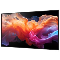 Sharp MultiSync E659 Digital Signage Display 165 cm 65 Zoll — Buy in Cyprus with Fast Delivery