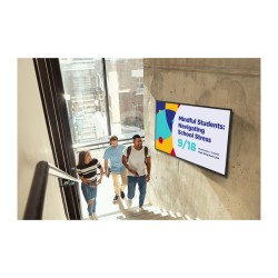 Viewsonic 165.1cm CDE6531-1C 16:9 HDMI LAN USB-C 500nits — Buy in Cyprus with Fast Delivery